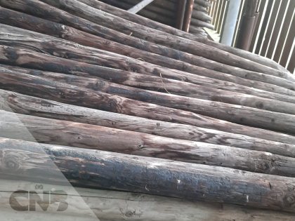 Houten palen