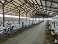 Foto van Gangbaar melkgeitenbedrijf met stolpboerderij