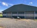 Foto van Gangbaar melkgeitenbedrijf met stolpboerderij