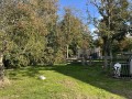 Foto van Gangbaar melkgeitenbedrijf met stolpboerderij